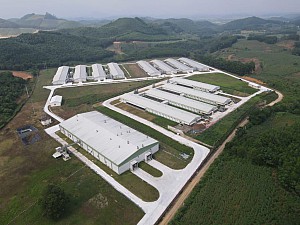 Dự án Trang trại Gà giống Xuân Phú